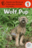 Wolf Pup: (Level 1) (Volume 4) (Amer Museum of Nat History Easy Readers)