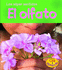 El Olfato (Los Super Sentidos) (Spanish Edition)