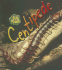 Centipede (Bug Books)