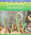 Como Crecen Las Plantas? (Spanish Edition)