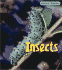 Insects