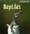 Reptiles (Animal Babies)