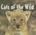 Cats of the Wild