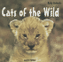 Cats of the Wild (Baby Animals)