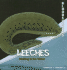 Leeches: Waiting in the Water (Bloodsuckers)