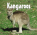 Kangaroos (Baby Animals)