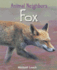 Fox (Animal Neighbours)