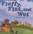 Fluffy, Flat, and Wet: a Book About Clouds (Amazing Science)