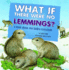 What If There Were No Lemmings? : a Book About the Tundra Ecosystem