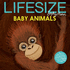 Lifesize Baby Animals: See Baby Animals at Their Actual Size in This New Illustrated Non-Fiction Adventure for Children Aged 3+