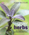 Grow Herbs