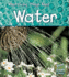 Water. Vic Parker (What Living Things Need)