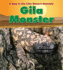 Gila Monster (Day in the Life. Desert Animals)