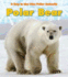 Polar Bear (Day in the Life. Polar Animals)