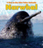 Narwhal (a Day in the Life: Polar Animals)