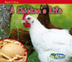A Chicken's Life (Watch It Grow)