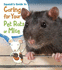 Squeak's Guide to Caring for Your Pet Rats Or Mice (Young Explorer: Pets' Guides)