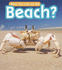 What Can Live at the Beach? (What Can Live There? )