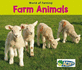 Farm Animals (World of Farming)