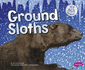Ground Sloths (Ice Age Animals)