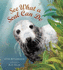 See What a Seal Can Do (Nature Storybook)