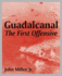 Guadalcanal the First Offensive