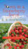 Town in a Strawberry Swirl (a Candy Holliday Murder Mystery)