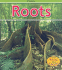 Roots (Plants)