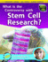 What is the Controversy Over Stem Cell Research? (Sci-Hi)