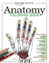 Anatomy Coloring Book