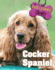 Cocker Spaniel (the Dog Lover's Guides)