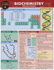 Biochemistry: a Quickstudy Laminated Reference Guide