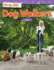 Teacher Created Materials 27338 on the Job: Dog Walkers: Data (Mathematics in the Real World)