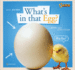 Zigzag: What's in That Egg? : a Book About Life Cycles