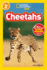 Cheetahs (National Geographic Readers: Level 2)