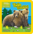 National Geographic Kids Wild Tales: Twin Trouble: a Lift-the-Flap Story About Bears