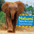 Natumi Takes the Lead: the True Story of an Orphan Elephant Who Finds Family (Baby Animal Tales)