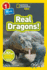 Real Dragons!