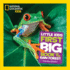 Little Kids First Big Book of the Rainforest National Geographic Kids