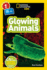 Glowing Animals (L1/Co-Reader) (National Geographic Readers)