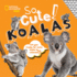 So Cute! : Koalas