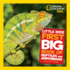 Little Kids First Big Book of Reptiles and Amphibians National Geographic Kids
