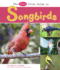 The Pebble First Guide to Songbirds