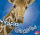 Jirafas / Giraffes (Animales Africanos / African Animals) (Spanish and English Edition)