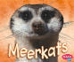 Library Book: Meerkats (African Animals)