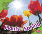 Plants in Spring (All About Spring)