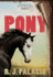 Pony (Thorndike Press Youth Large Print Middle Reader)