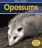 Opossums