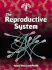 The Reproductive System: Injury, Illness, and Health (Body Focus)