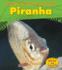 Piranha (Heinemann Read and Learn: a Day in the Life: Rain Forest Animals)